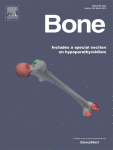 bone-picture